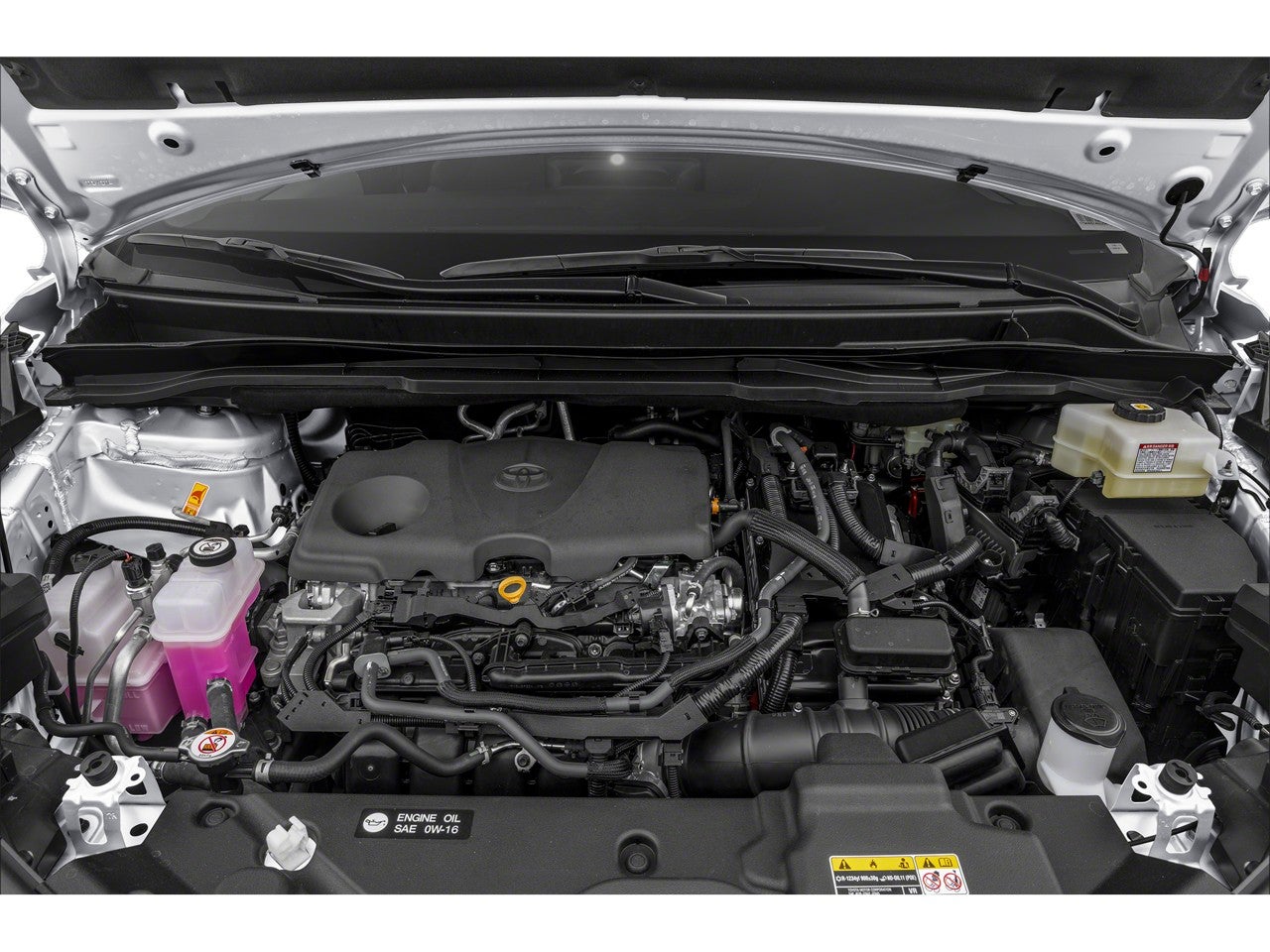 2025 Toyota Sienna LE 8 Passenger