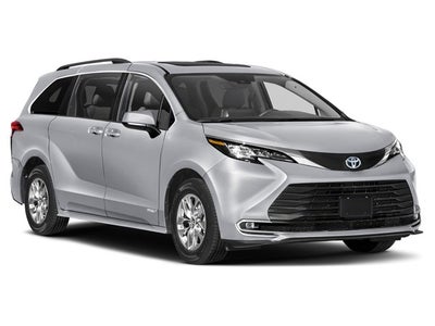 2025 Toyota Sienna XLE 8 Passenger