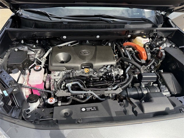 2025 Toyota RAV4 Hybrid XLE Premium