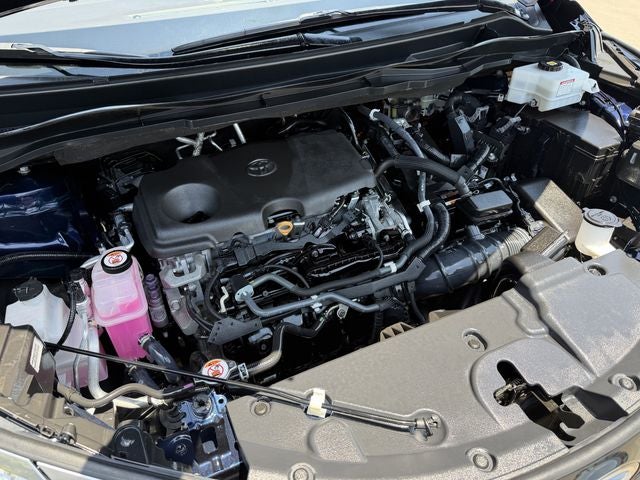 2021 Toyota Sienna Platinum 7 Passenger