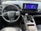 2025 Toyota Sienna Platinum 7 Passenger