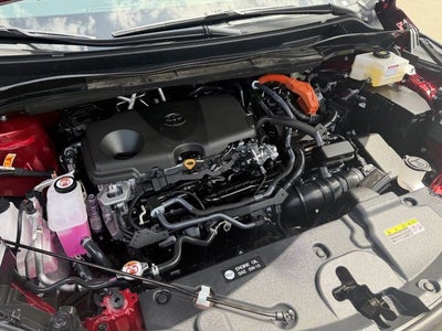 2025 Toyota Sienna Platinum 7 Passenger