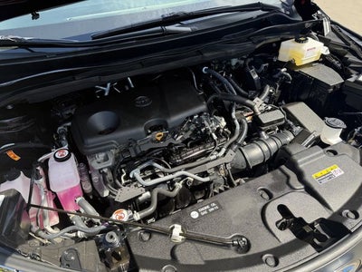 2025 Toyota Sienna XLE 8 Passenger