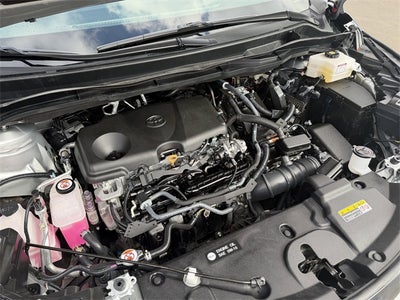 2024 Toyota Sienna XLE 8 Passenger