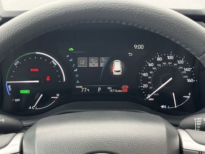 2025 Toyota Sienna XLE 8 Passenger