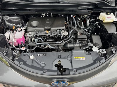 2025 Toyota Sienna XLE 8 Passenger