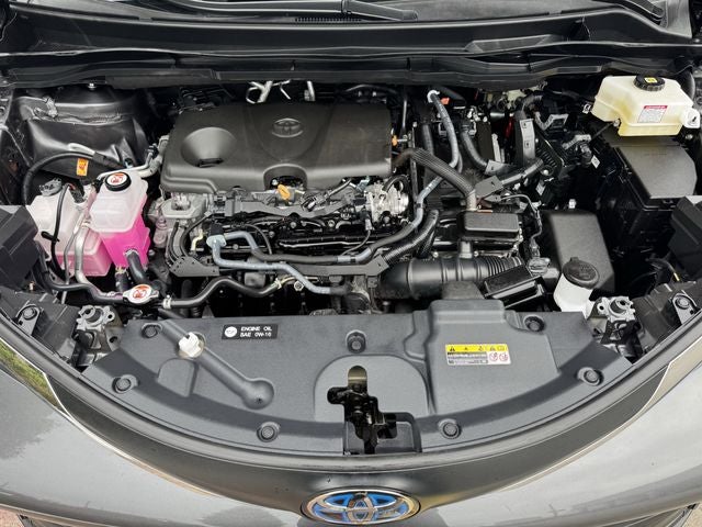 2025 Toyota Sienna XLE 8 Passenger