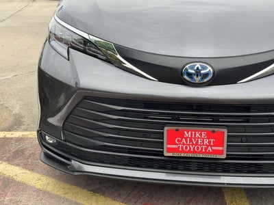 2025 Toyota Sienna XLE 8 Passenger
