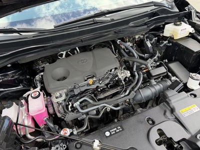 2023 Toyota Sienna XLE 8 Passenger