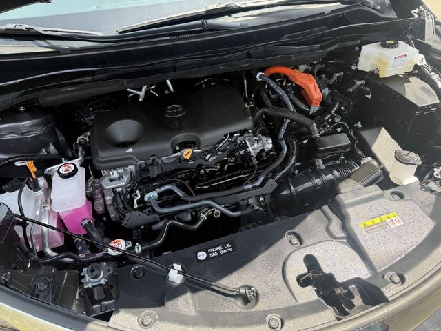 2025 Toyota Sienna Limited 7 Passenger